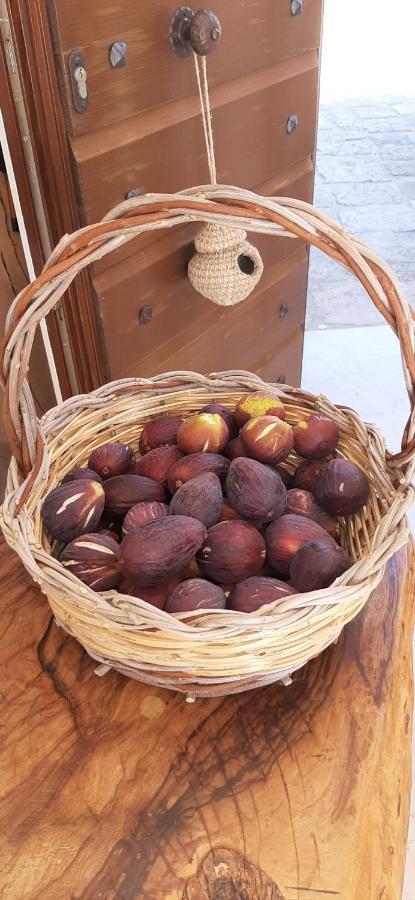 Antica Masseria Ficazzana - Tenuta Marina Di Pescoluse Kültér fotó