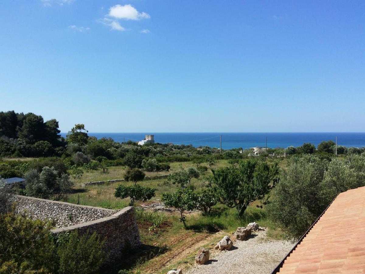 Antica Masseria Ficazzana - Tenuta Marina Di Pescoluse Kültér fotó